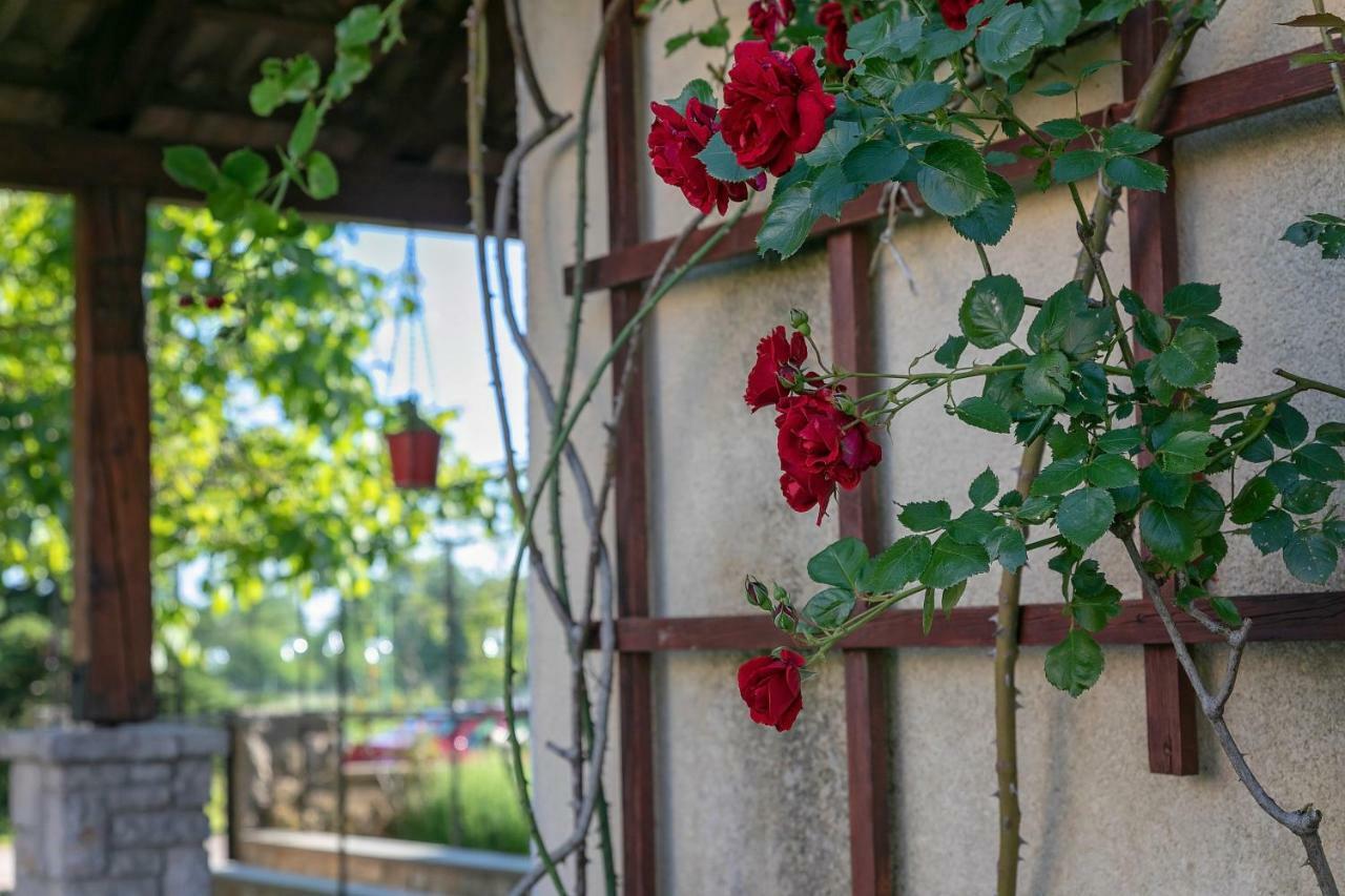 Red Apartment Vrsar Exterior foto
